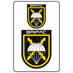 Adhesivos BRIPAC