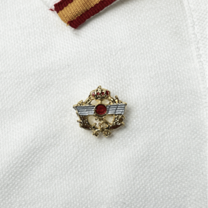 Pin Rokiski ejército del aire laurel