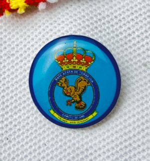 Pin Base Aérea de Torrejón de Ardoz