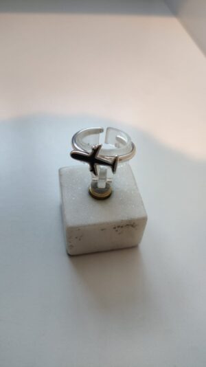 Anillo avión