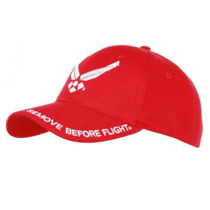 Gorra de beisbol Remove Before Flight