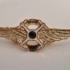 Insignia piloto dron